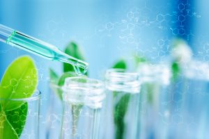 Salveco, Plant-based chemistry: the future of your company