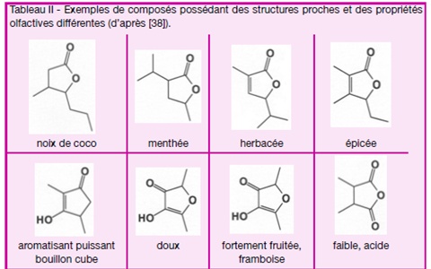 Exemples de composés ayant des structures chimiques proches et des notes olfactives différentes