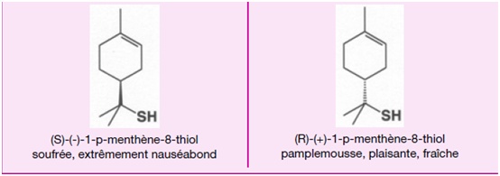 Exemples de molécules énantiomères ayant des olfactions inversées