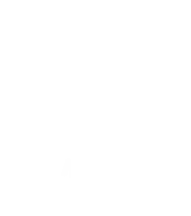 salveco visuels logo 27